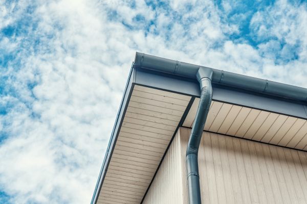 Gutter Fascia Repair in Niles